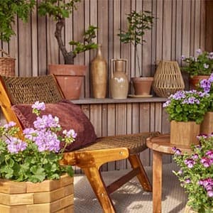 Biophilic style